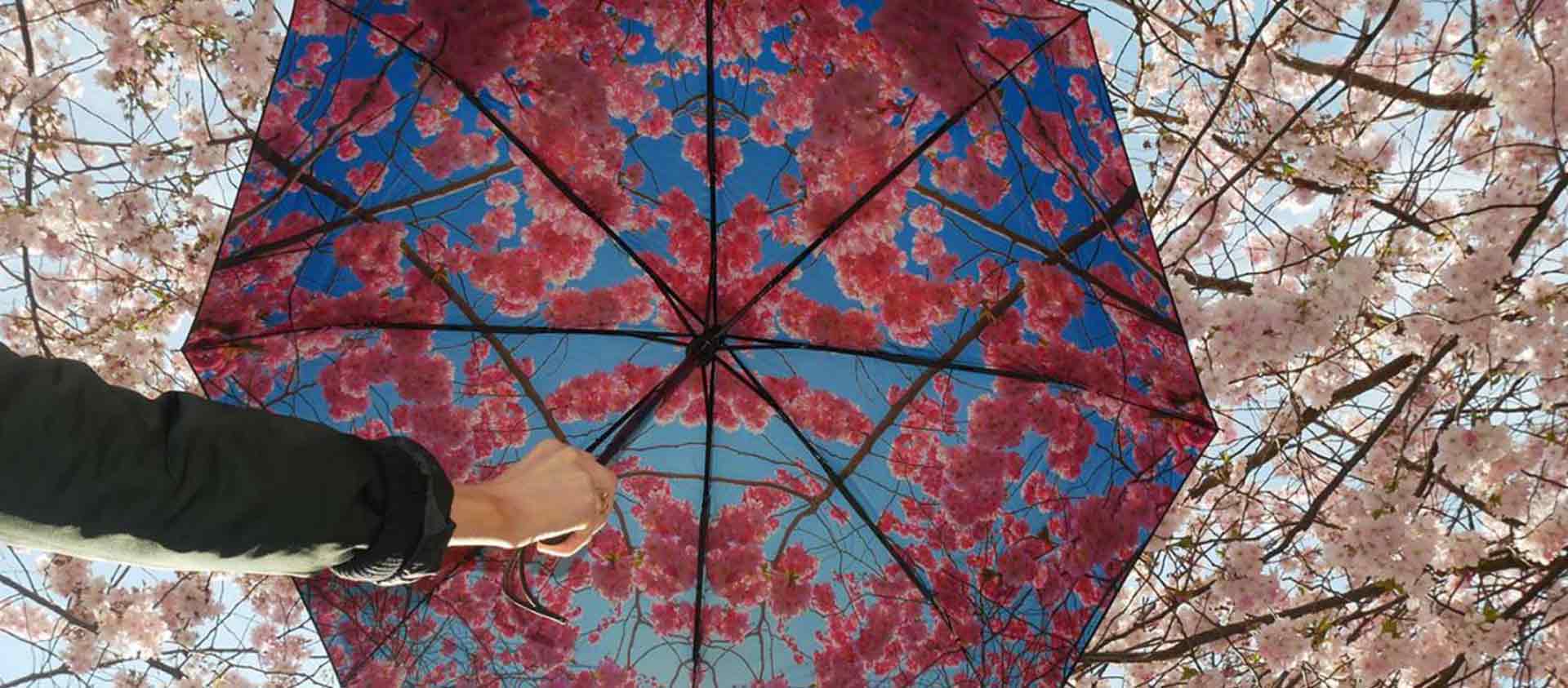 Kategorie Headerbanner Marken HappySweeds