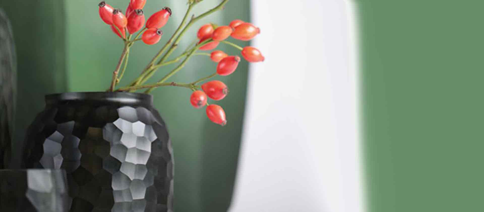 Kategorie Headerbanner Marken Guaxs