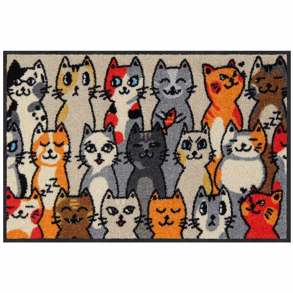 shop SLD2862 050x075 100541