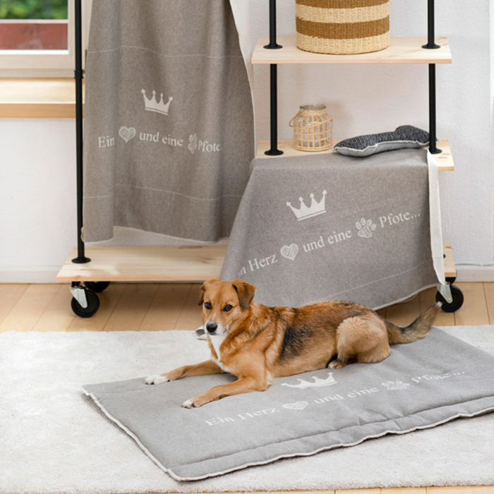 David Fussenegger - „Ein Herz und eine Pfote“ 70x90 cm