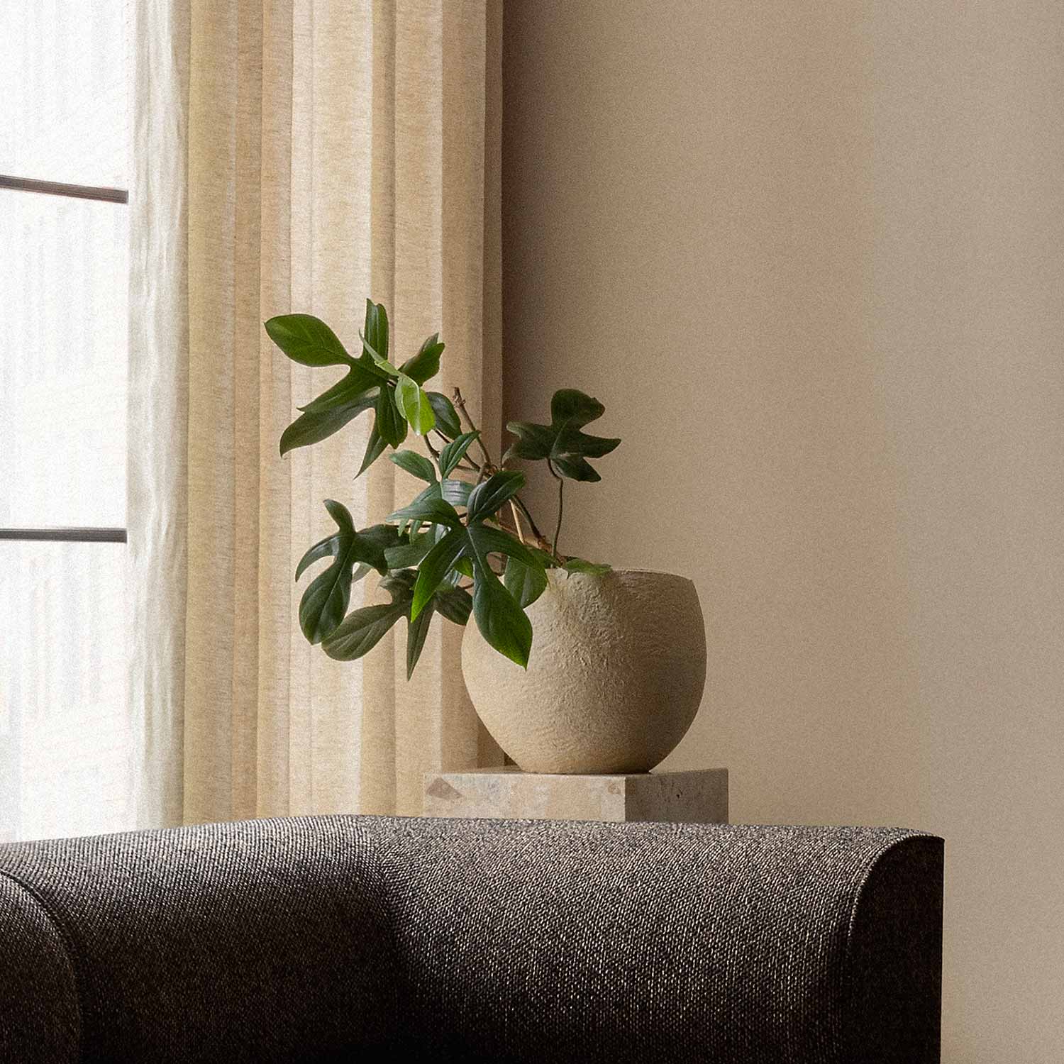 menu plantas blumentop h26 wohnzimmer sofa close up 93321