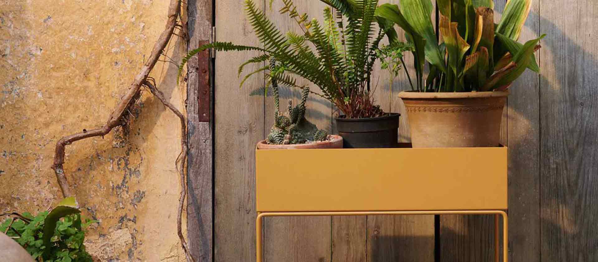 Kategorie Headerbanner Marken fermLiving