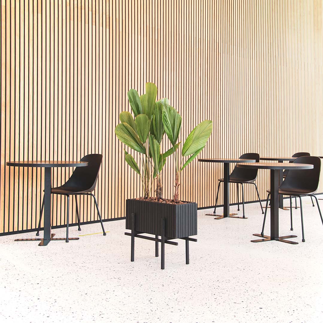 squarely grow wide black stand on innen 77275