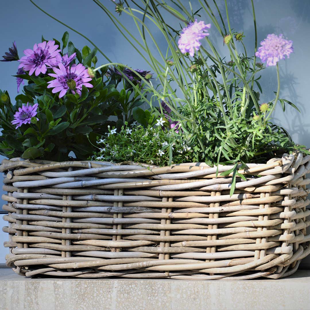 jan kurtz palau korb 78175