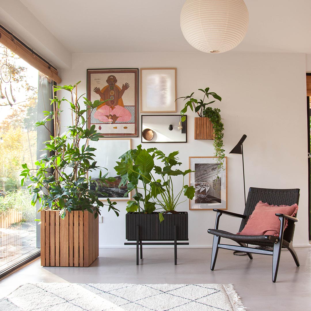 squarely grow wide pflanzgestell schwarz 77283