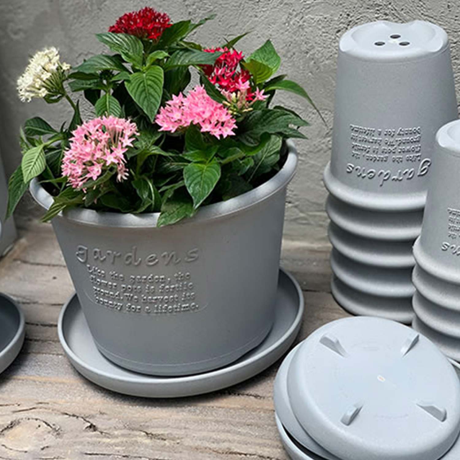 Hachiman - Eco Pot Shallow Type #10 navy blau