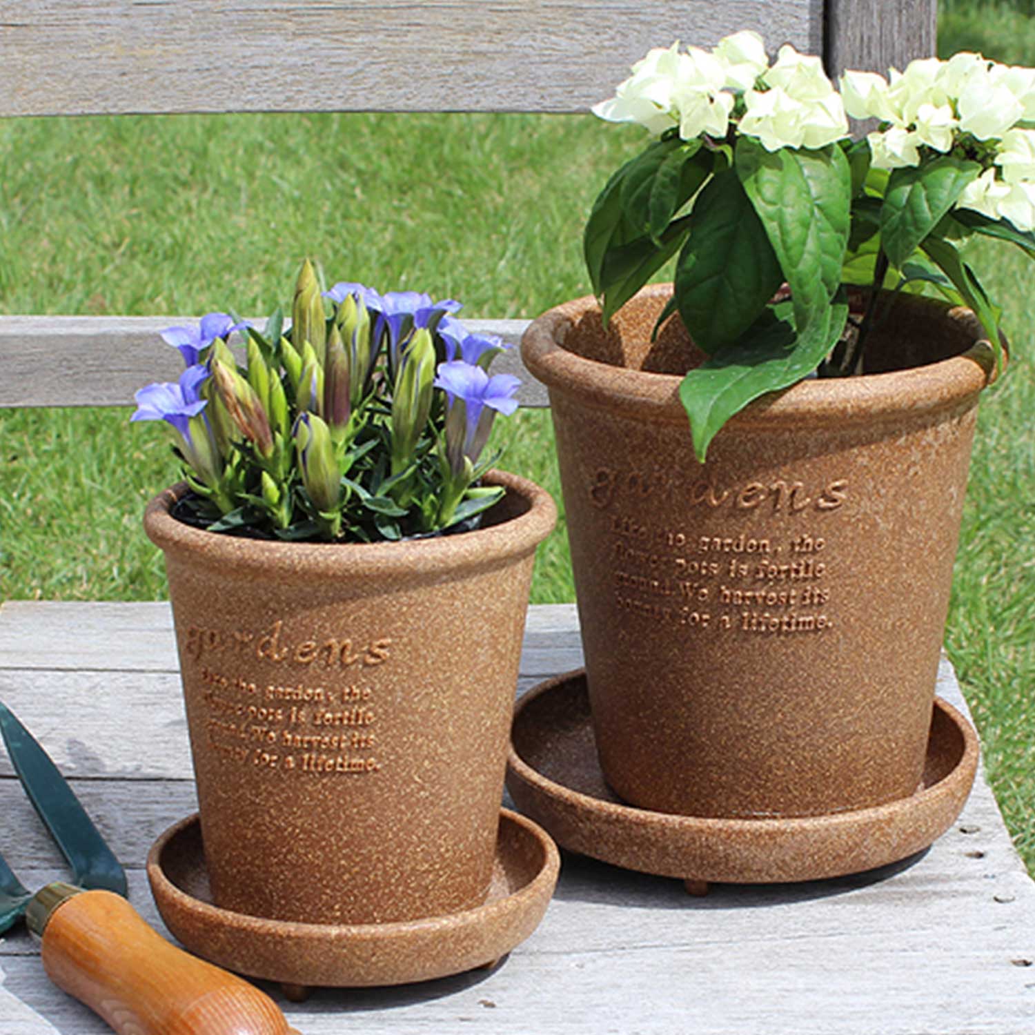 Hachiman - Eco Pot Round Type #8 senf