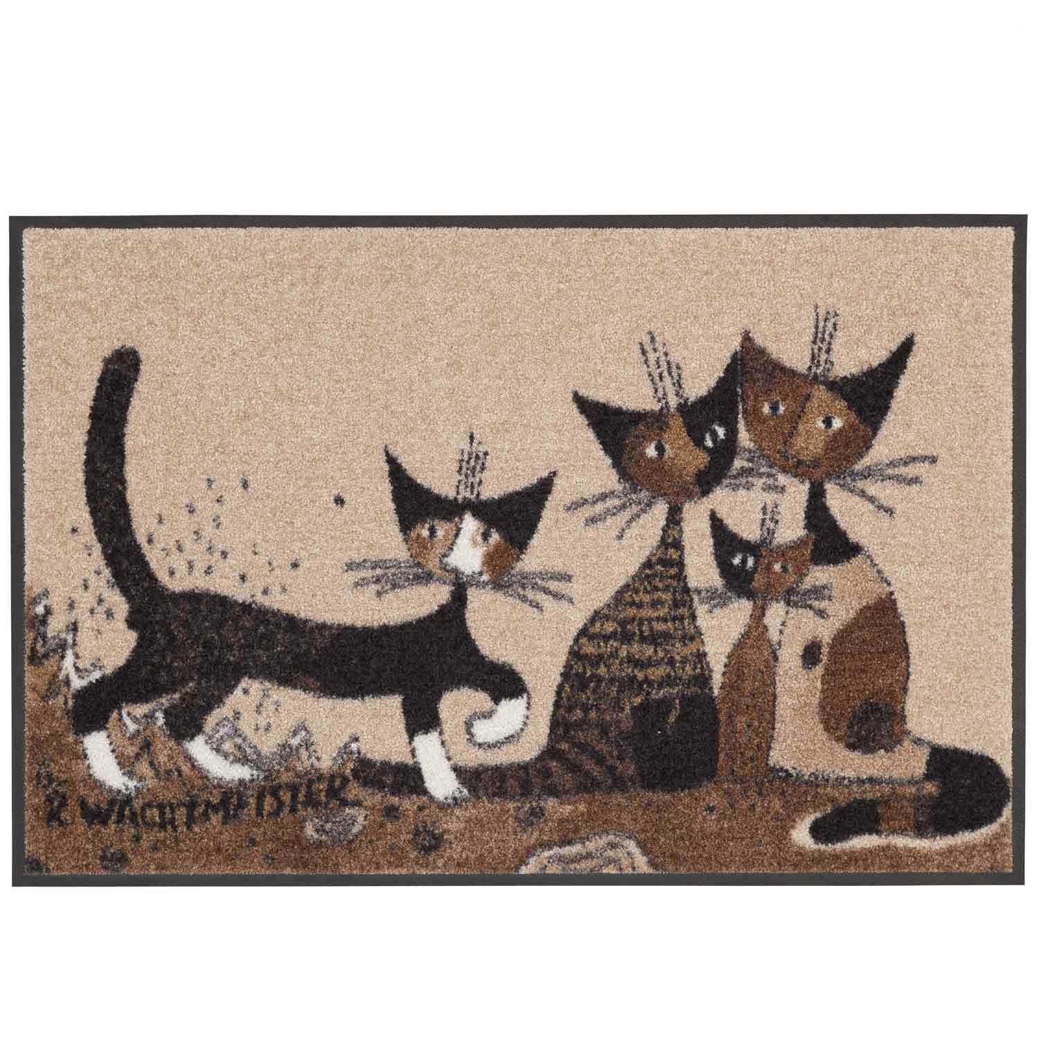 SLD0155 050X075 34643