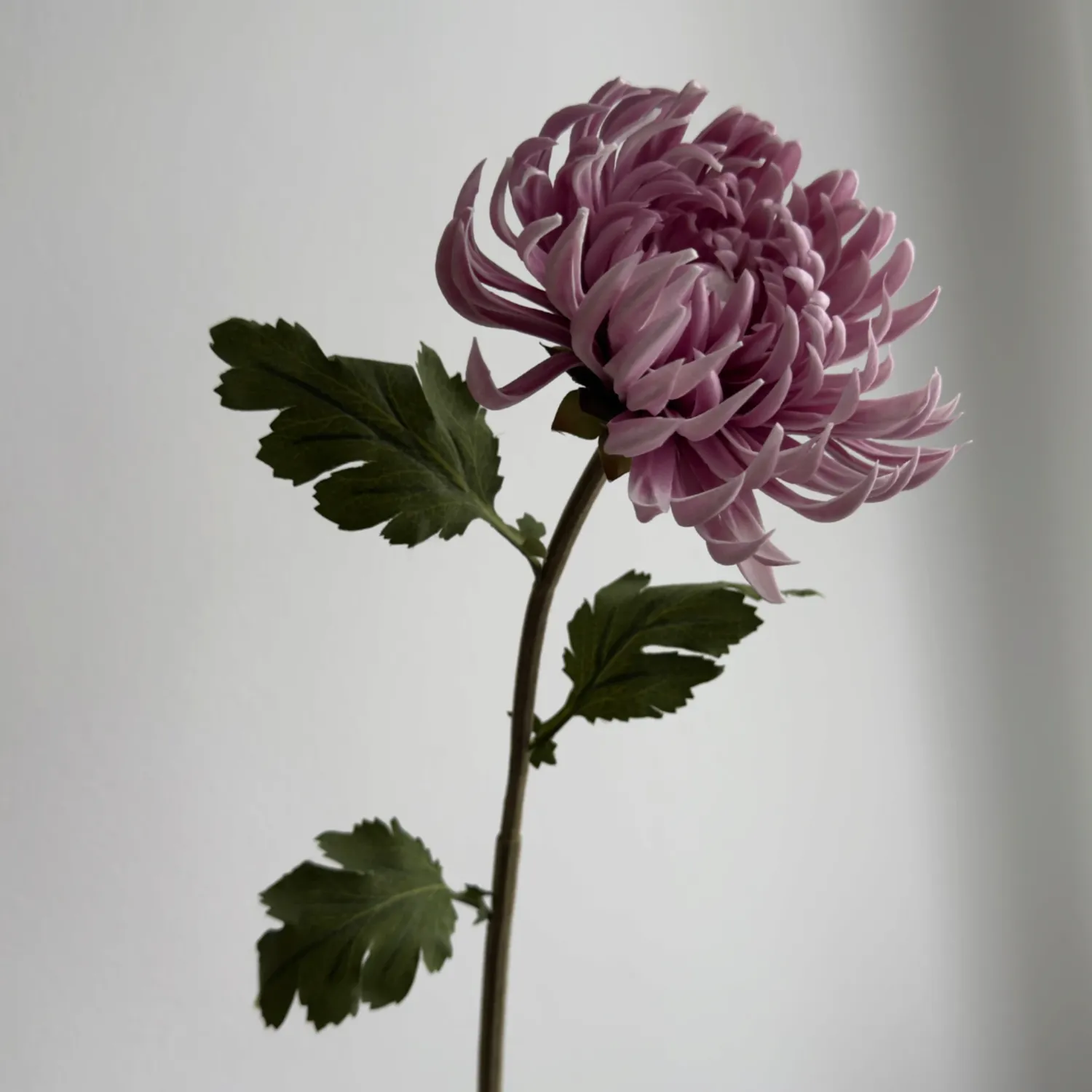 BLOOM OBJECTS - Kaktusdahlie Kunstblume lila