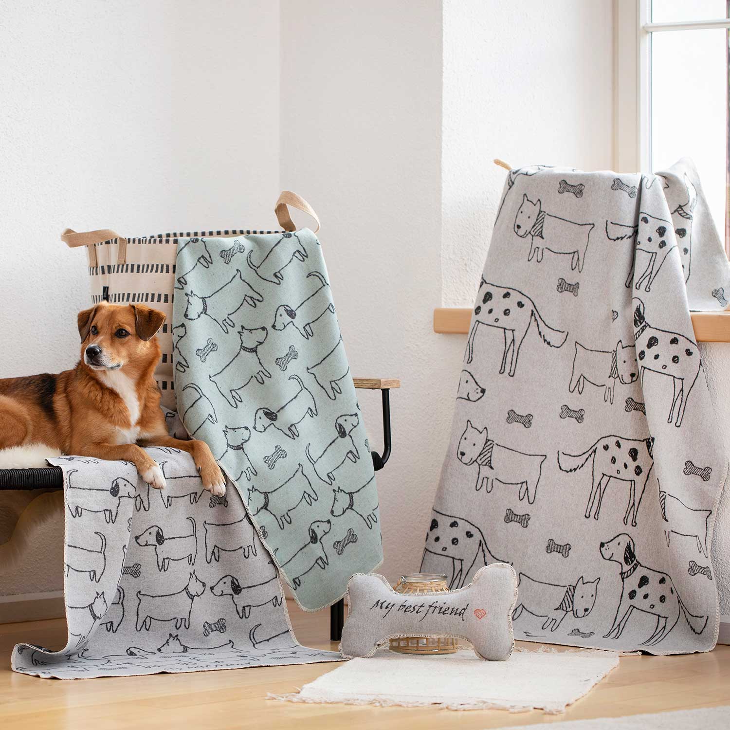 haustierdecke david fussenegger best friends allover 96518