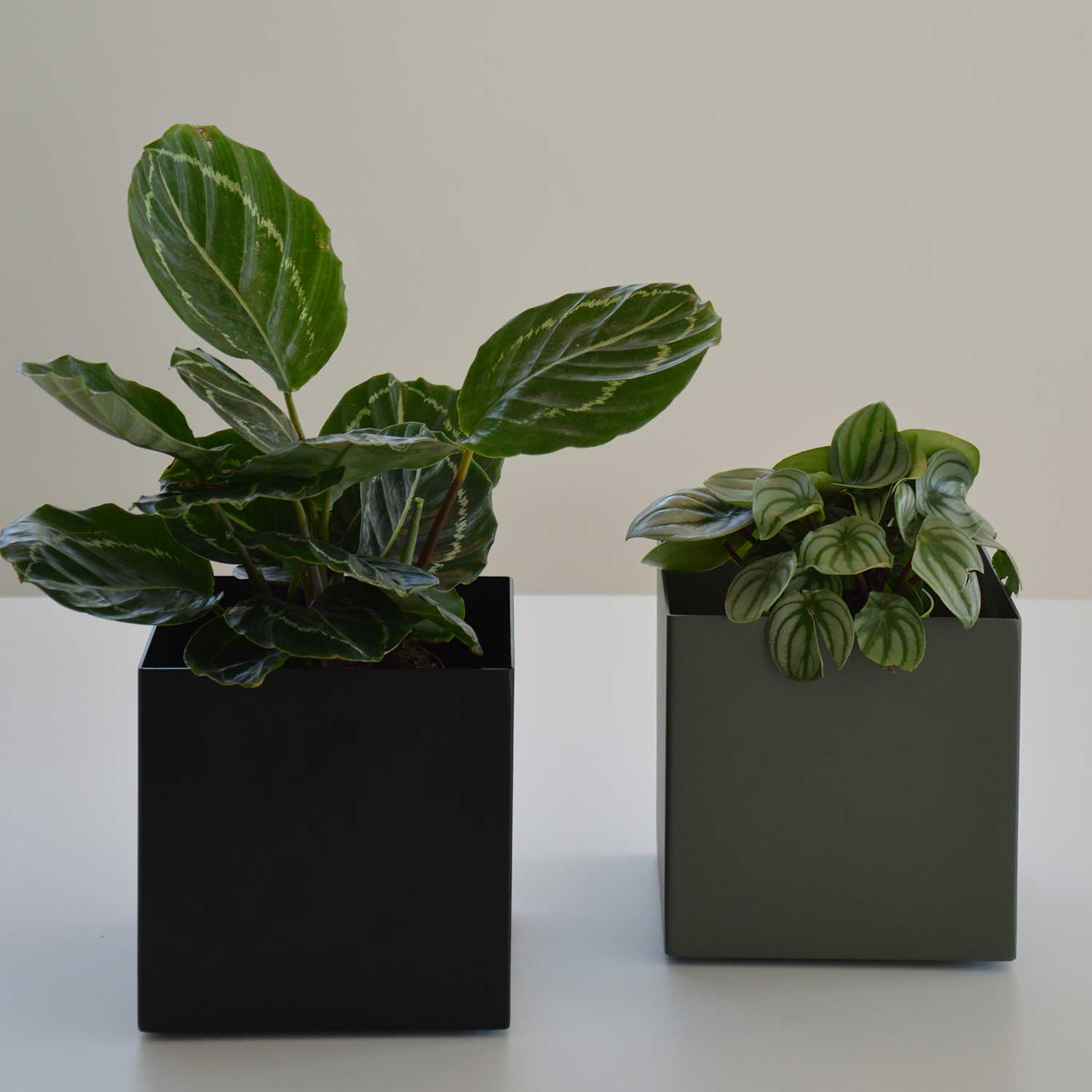 Jan Kurtz - PODZ Pflanzkübel 20x20x65 cm zinkgelb