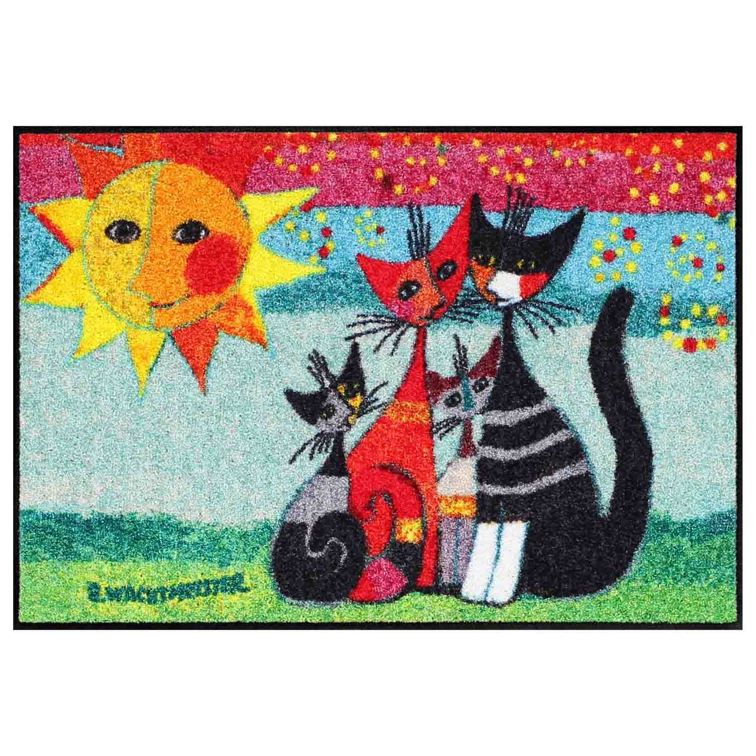 SLD0153 050X075 34742