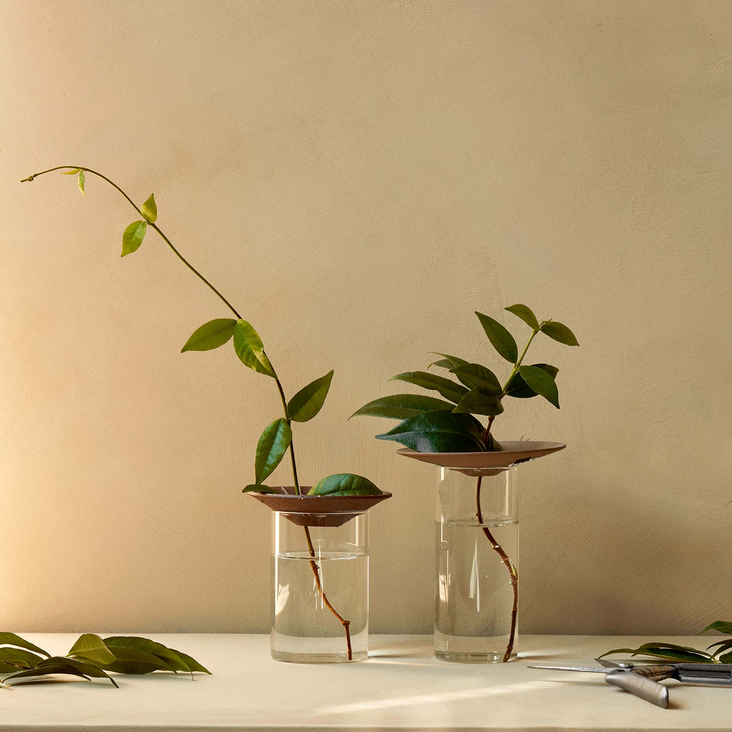 menu cresco propagation vase stecklinge set 92913