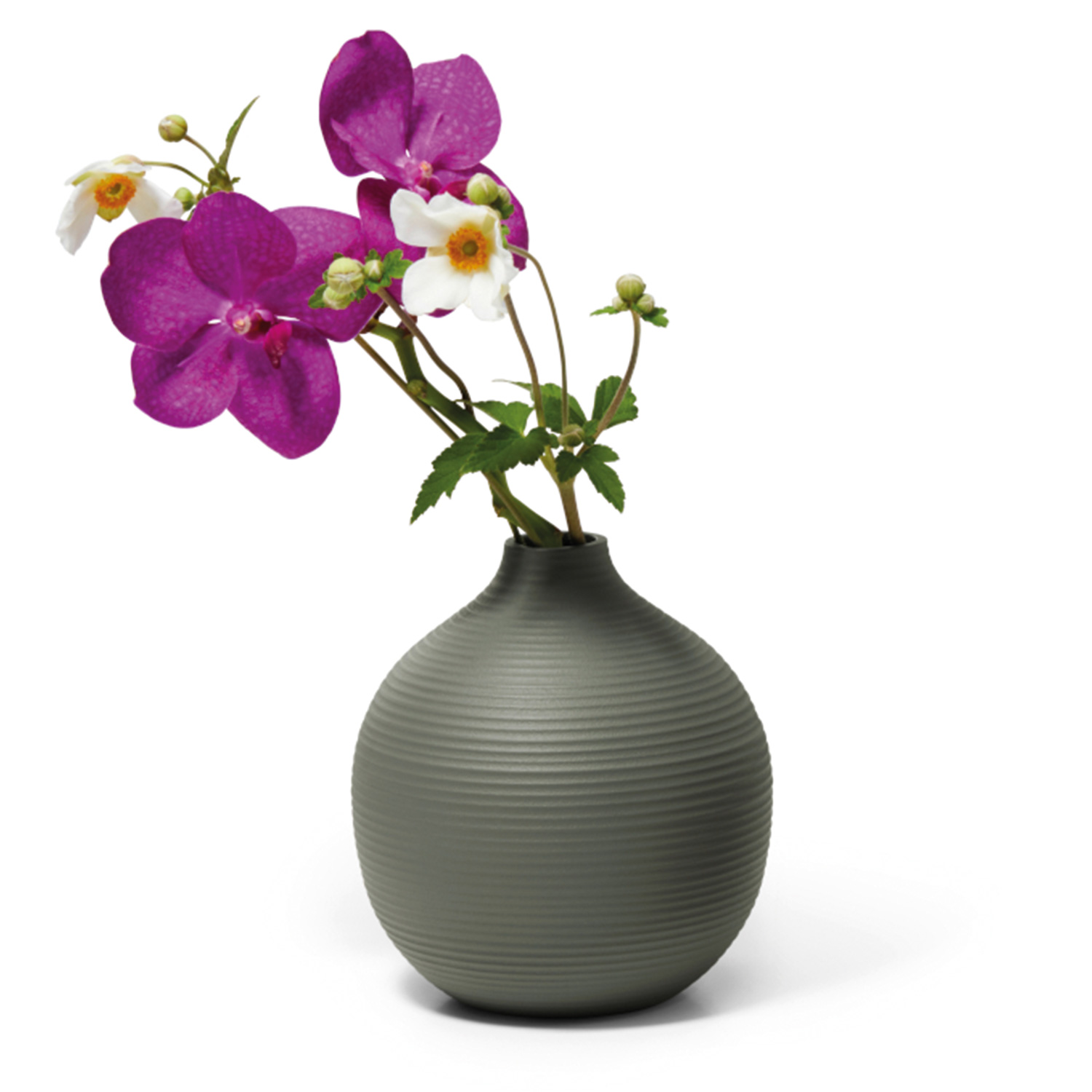 philippi lim vase rund freisteller 88939