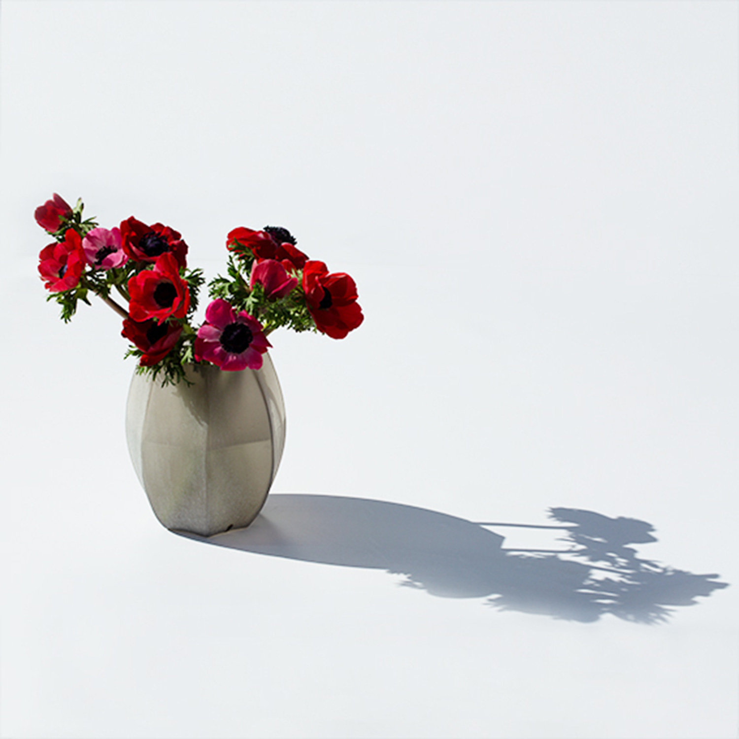 guaxs koonam smokegrey small blumen 94412