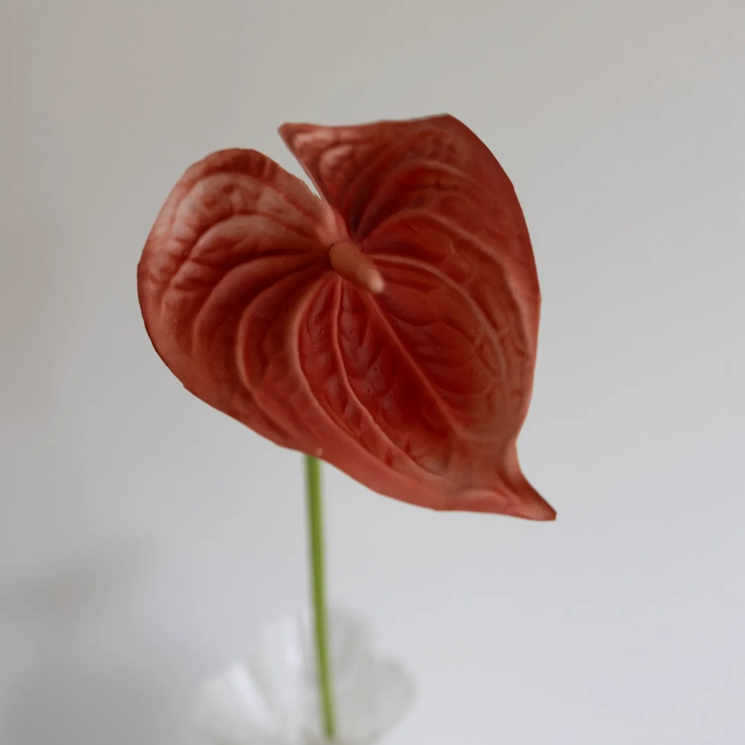 BLOOM OBJECTS - Anthurie Kunstblume orange
