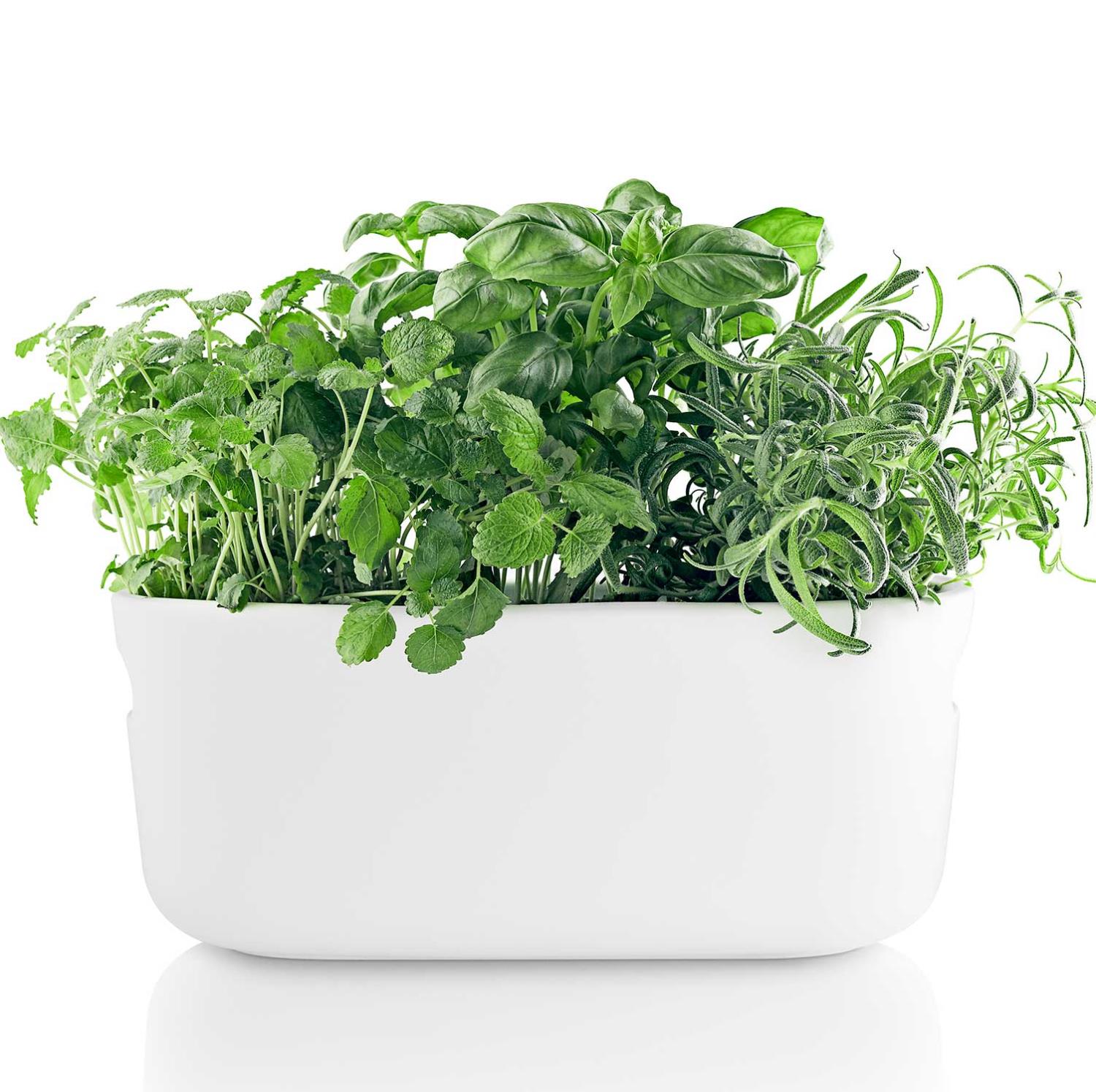 eva solo herb organizer weiss 568168 2