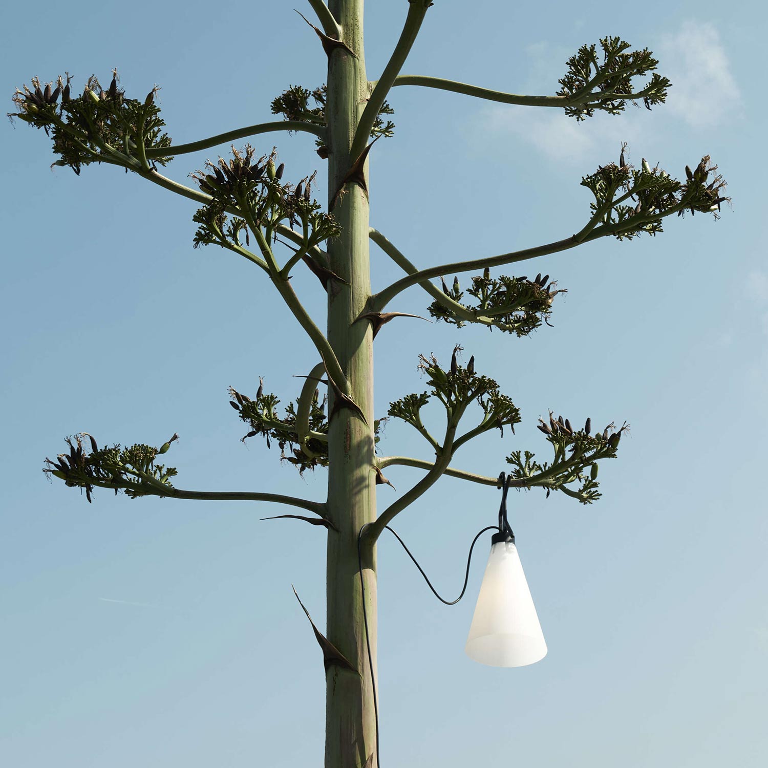 flos mayday outdoor leuchte aussenleuchte 82755