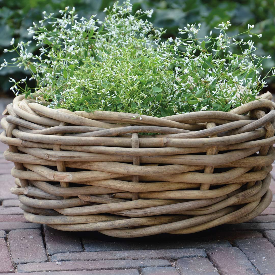 jan kurtz palau korb 40cm ambiente 87620