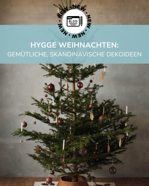 0b38dd43365fc94edf11a0359f868431